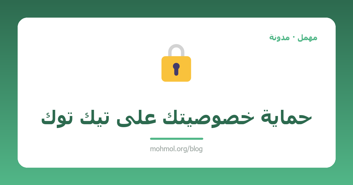 حماية خصوصيتك على تيك توك